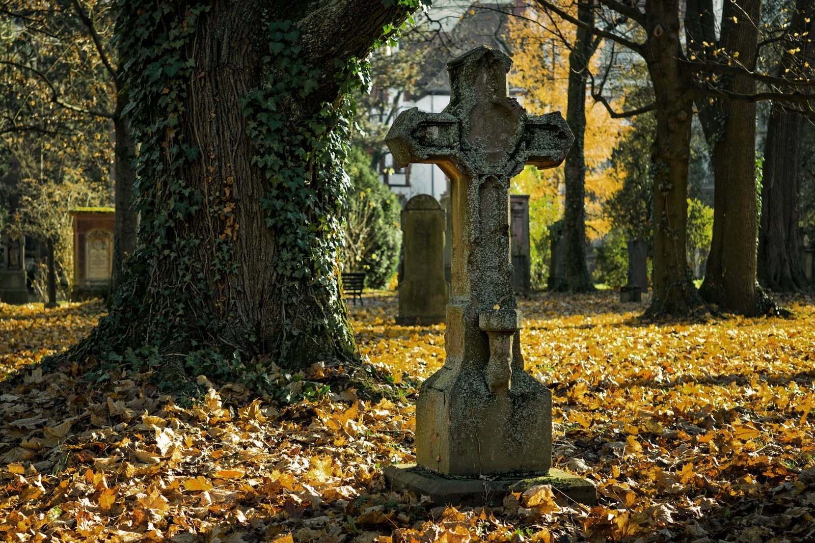 Kreuz im Herbstwalsd -sterben (c) privat